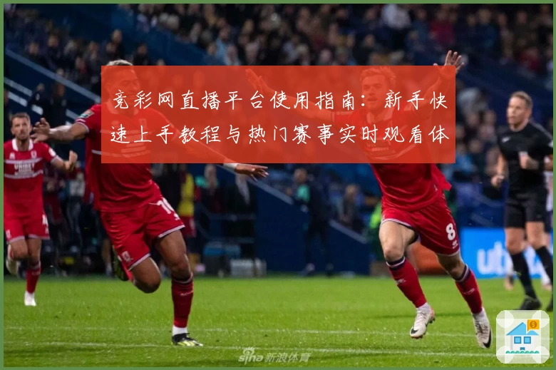 竞彩网直播平台使用指南：新手快速上手教程与热门赛事实时观看体验