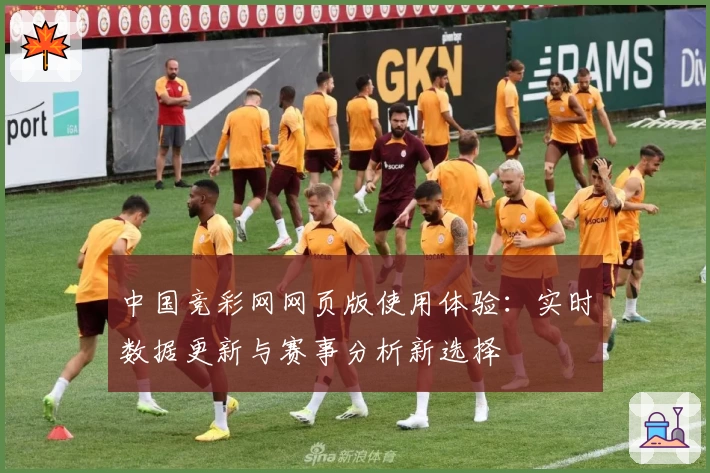 中国竞彩网网页版使用体验：实时数据更新与赛事分析新选择
